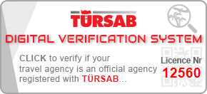 tursab-dvs